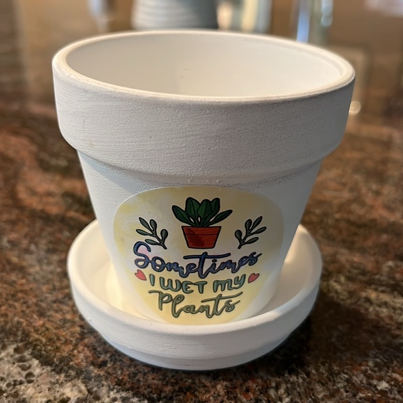 2.75 inch White Ceramic Mini Planter with Saucer/ Sometimes I wet my plants - Picture 1 of 8